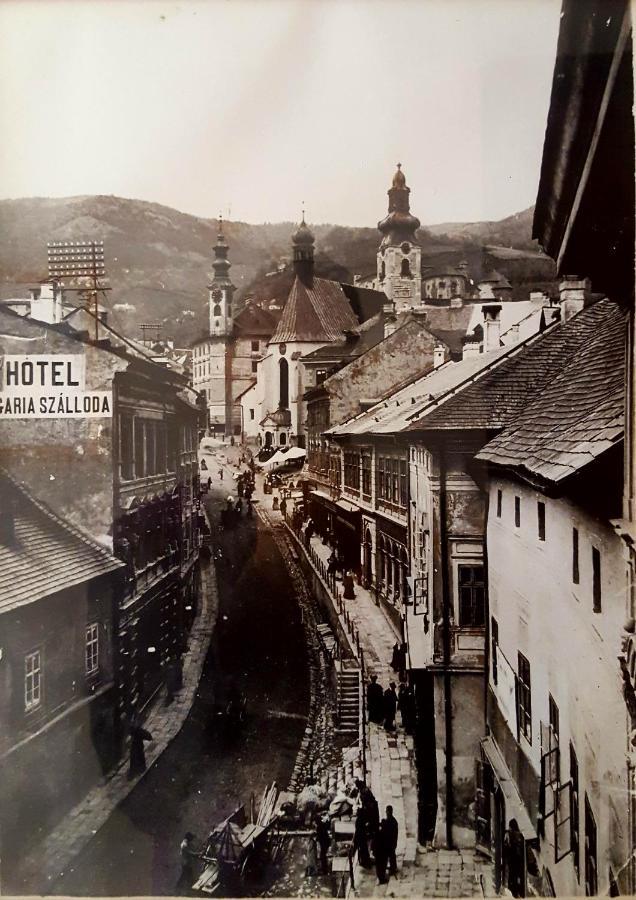 Penzion Rozalia Banská Štiavnica Εξωτερικό φωτογραφία