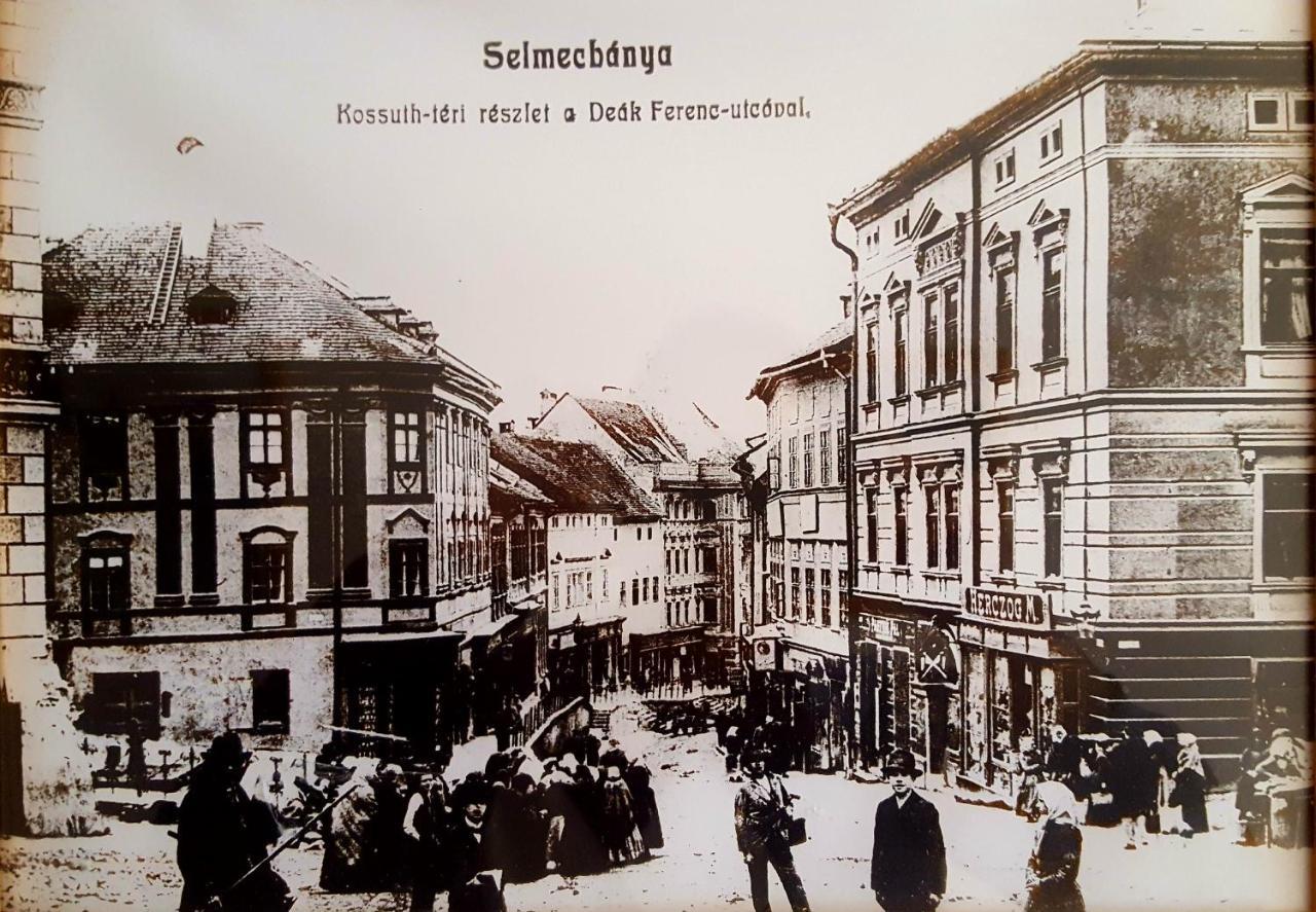 Penzion Rozalia Banská Štiavnica Εξωτερικό φωτογραφία
