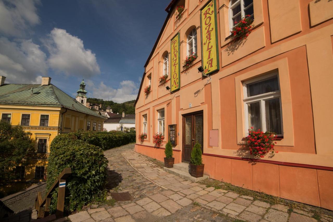 Penzion Rozalia Banská Štiavnica Εξωτερικό φωτογραφία